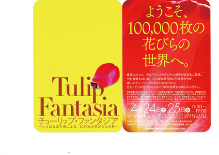 TFpdf1-(5)