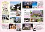 編集② 桜