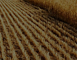 banner_20120513_nogyo_160