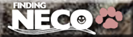 FindingNeco_tora