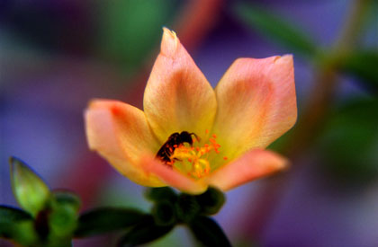 20040817b