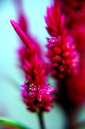 20040820a