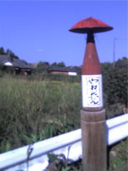 やねだん4