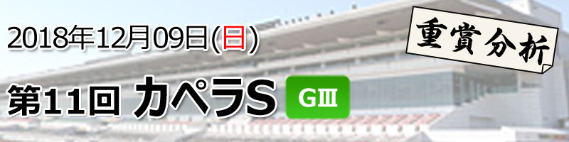 カペラS分析800200