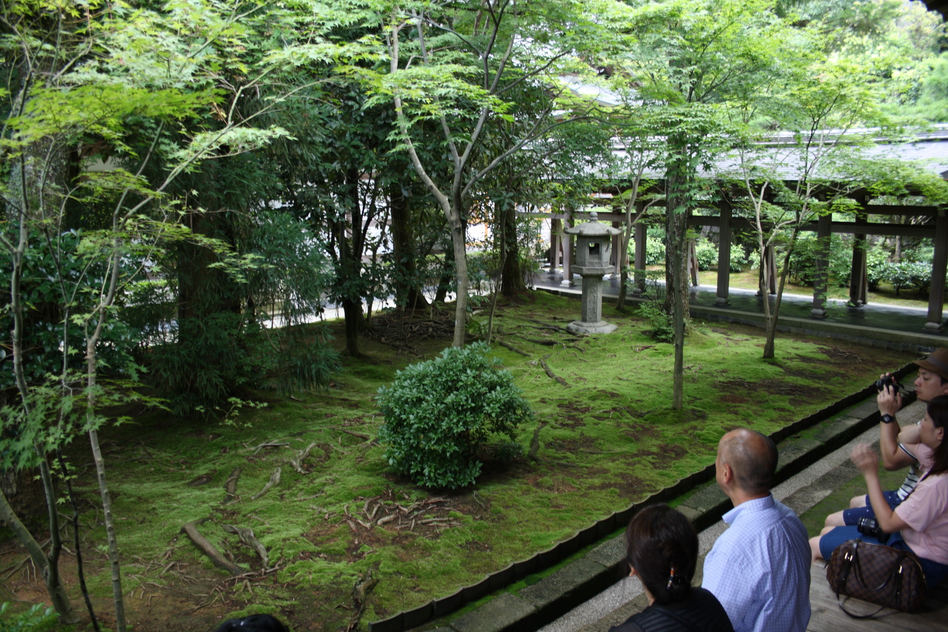 とりあえず Blog龍安寺と仁和寺