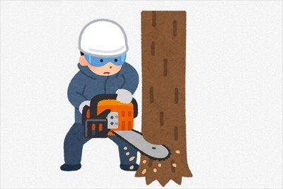 わい”林業”質問ある?