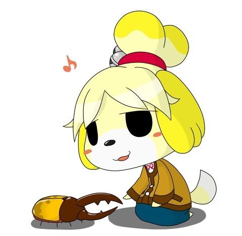 no title