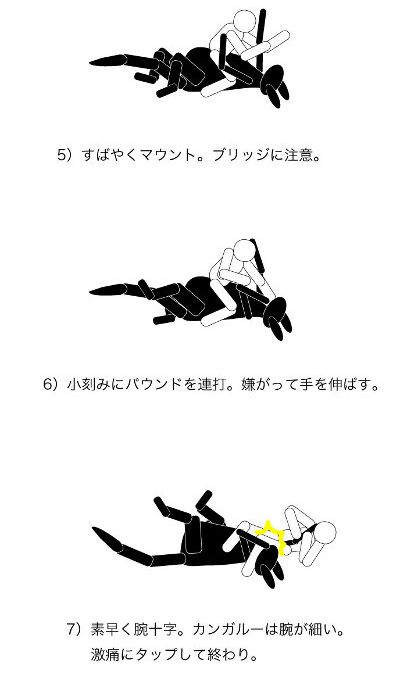 カンガルー2