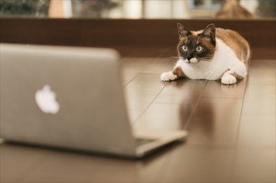 CAT9V9A9159_TP_V1