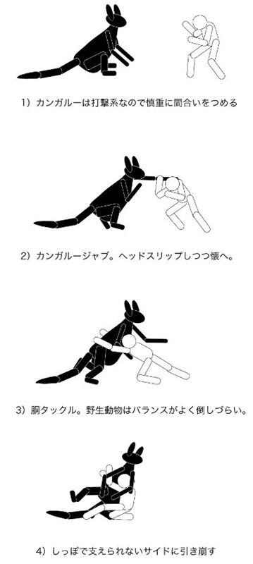 カンガルー1