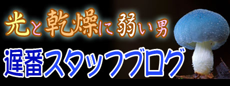みブログバナー