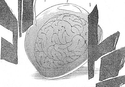 b脳1