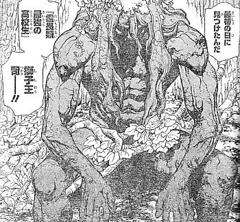 ds獅子王2