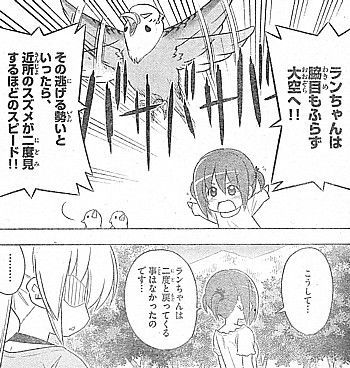 hランちゃん3