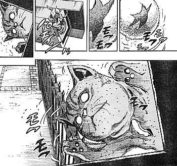 猫2