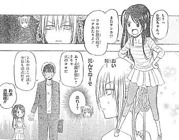 hコロ8