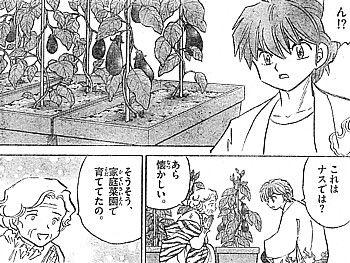 r家庭菜園3