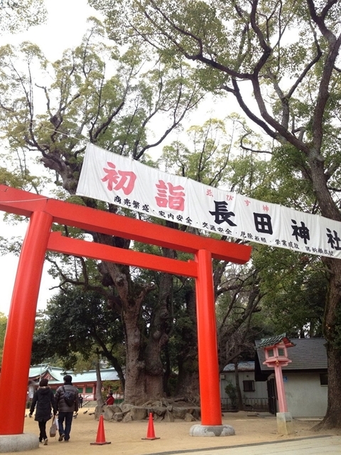 長田神社のクスノキ2