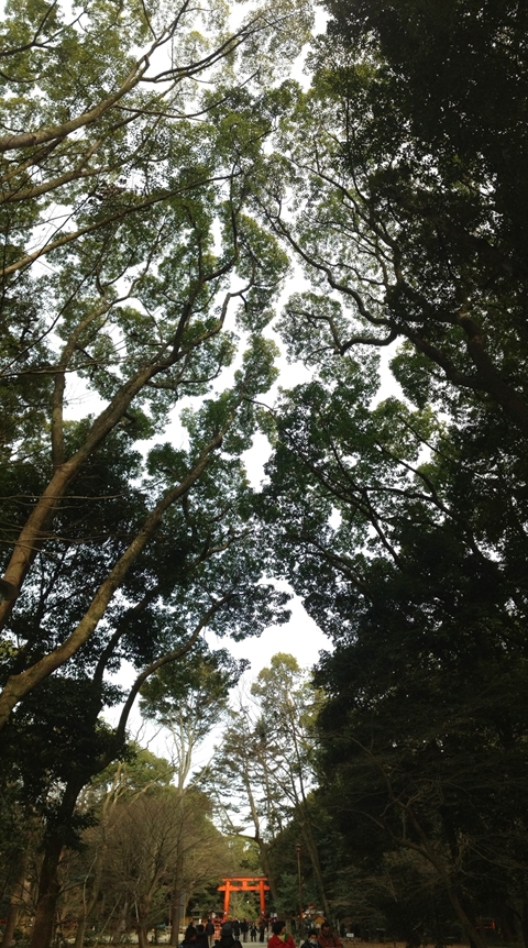 写真 2013-01-06 10 52 57