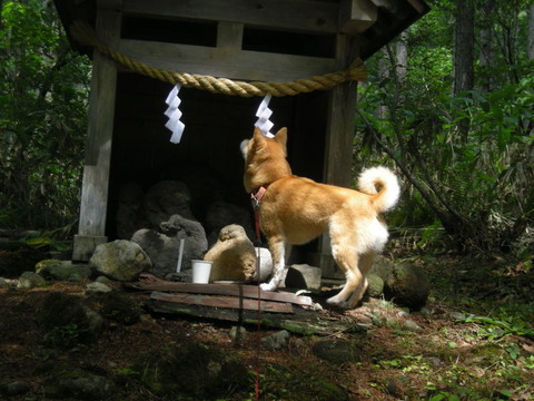 4a74d71b.jpg