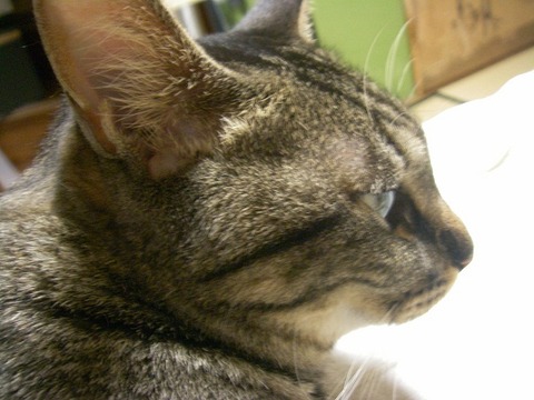 ef441f63.jpg