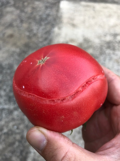 2018-06-16-18-26-35