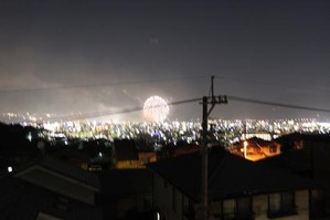 IMG_2481