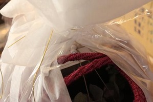IMG_3719