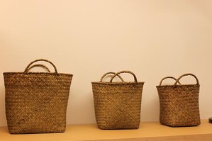 IMG_2532