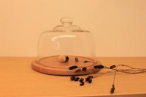 IMG_1919