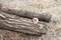 IMG_3192