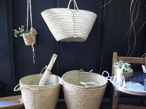 IMGP0056