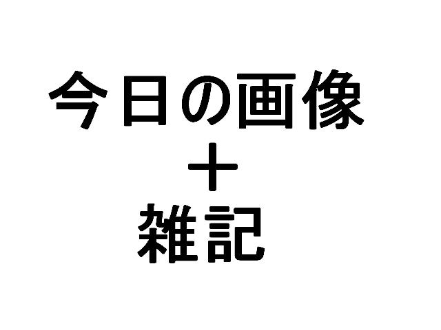 tyっよう.JPG