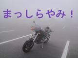 BlogPaint