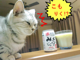 BlogPaint