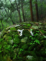 15--岩蔵