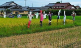 15---案山子