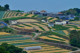 08--牛窓の野菜畑