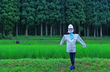 19--案山子