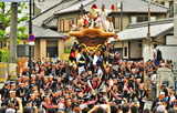 18---だんじり祭り1