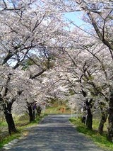 060427nanko
