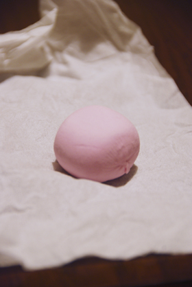 090319cassismarshmallow