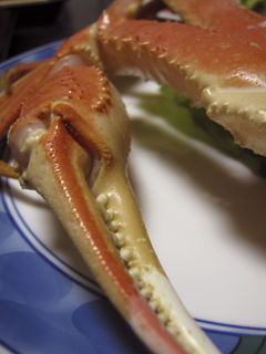 110131kani