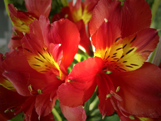 100421tutuji02