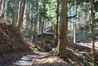 110316shonanko2