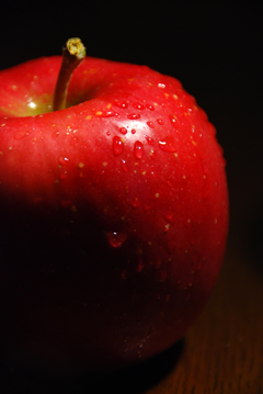 080930apple