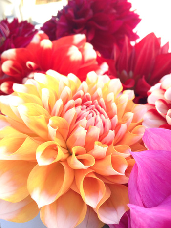 2014-10-14-10-00-25