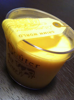 110126purin