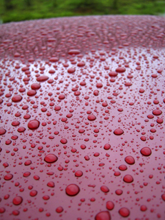 090831raindrops