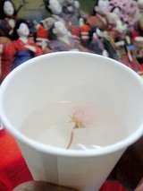 060305sakuracha